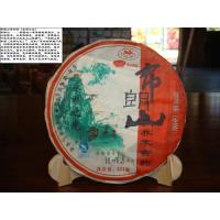 布朗山喬木古韻（永明の光）